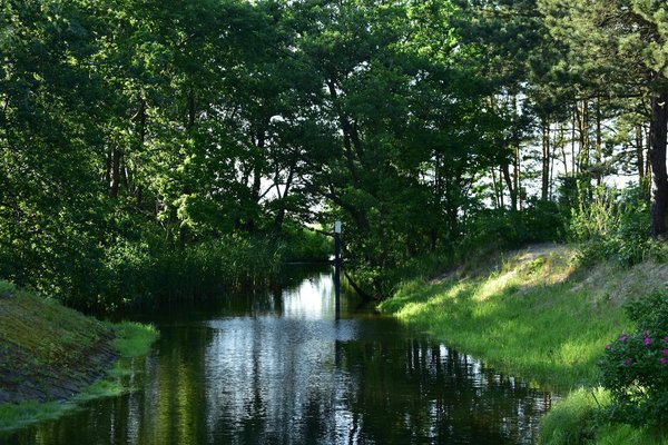 Comment les dermatologues peuvent-ils améliorer la prise en charge des patients atteints de psoriasis sévère?